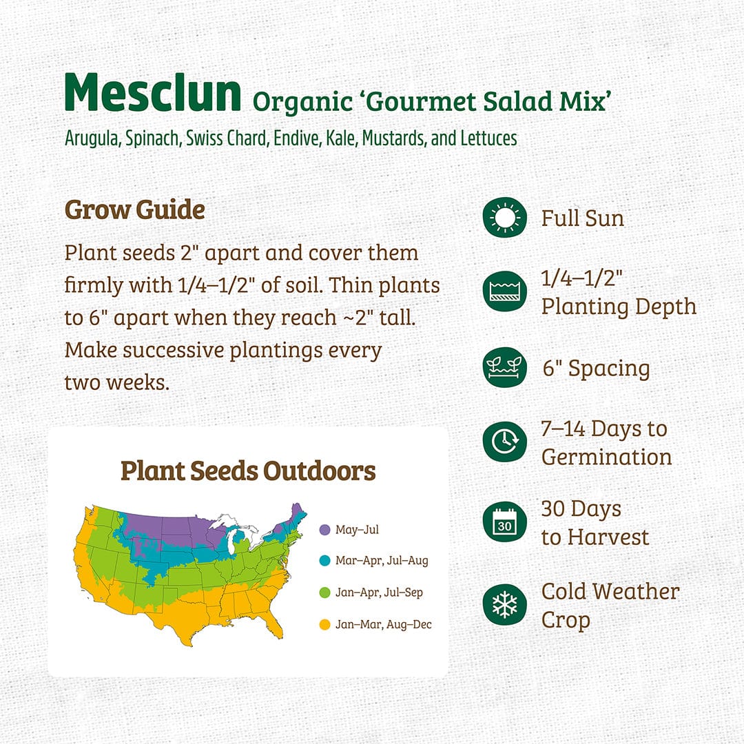 Organic Mesclun Seeds — 'Gourmet Salad Mix'