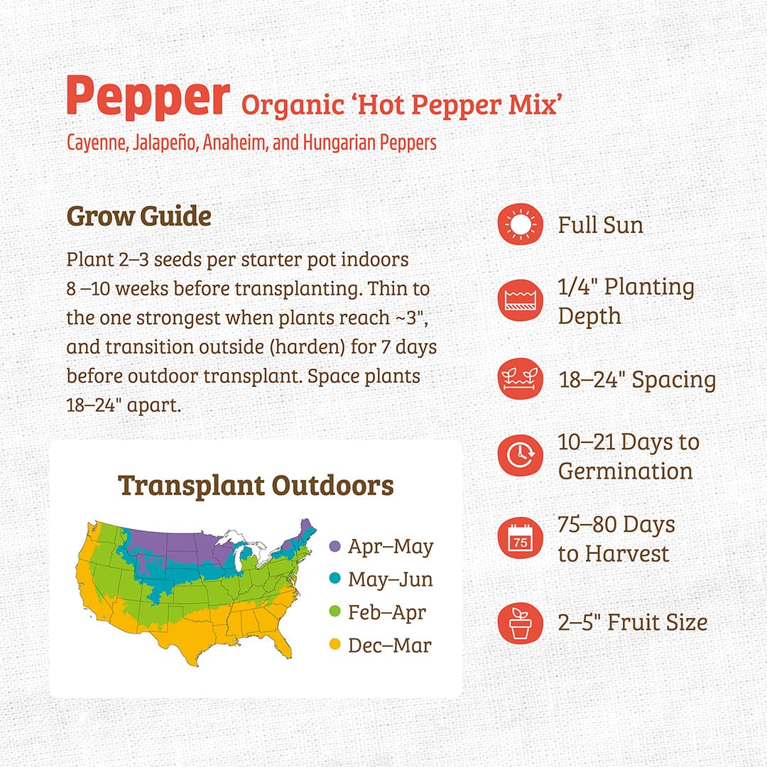 Organic Pepper Seeds — 'Hot Pepper Mix'
