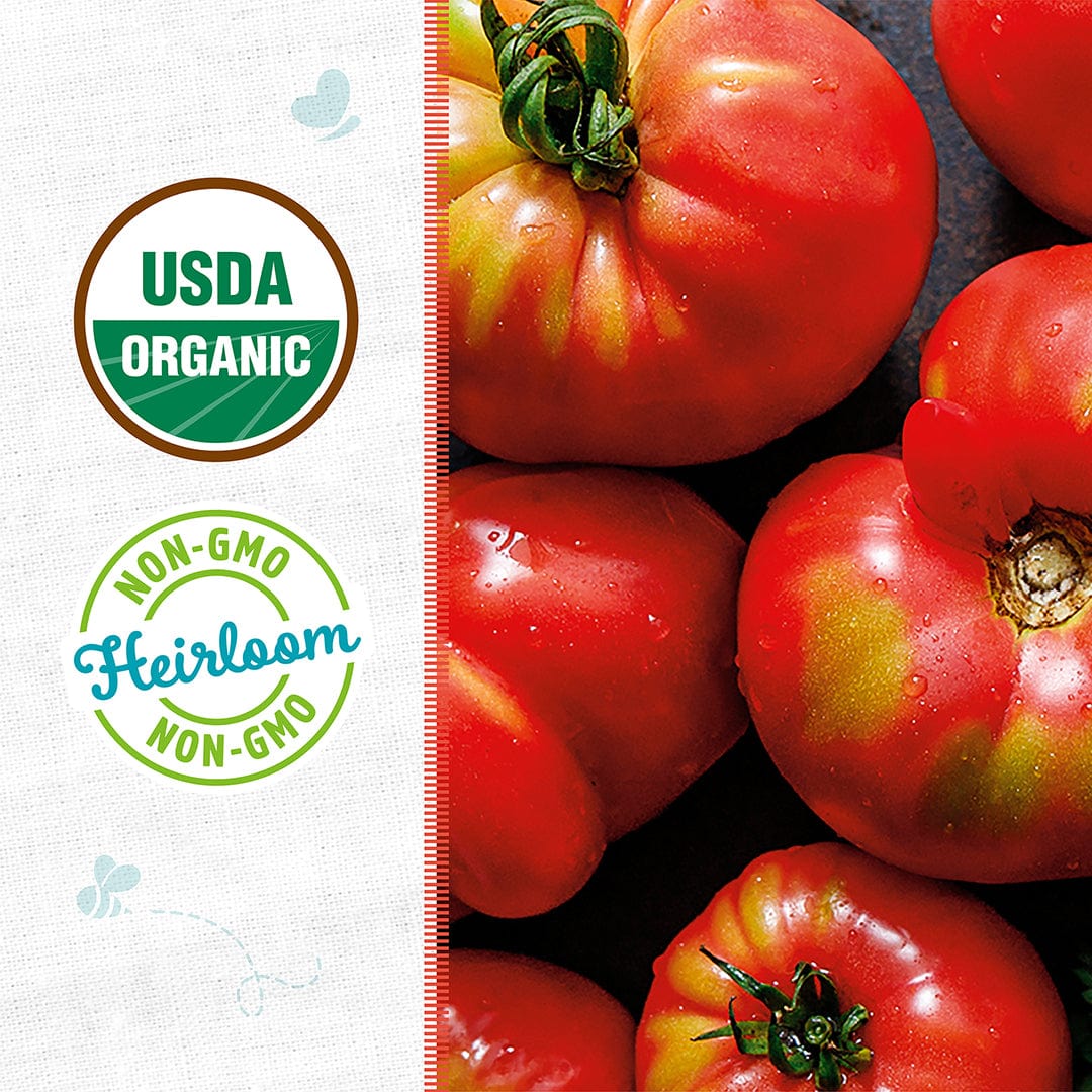 Organic Tomato Seeds — 'Brandywine Pink'