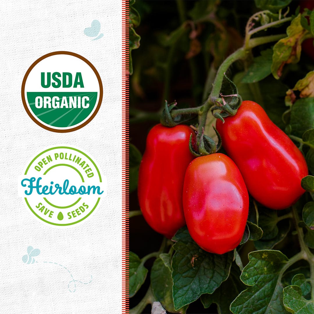 Organic Tomato Seeds — 'San Marzano'