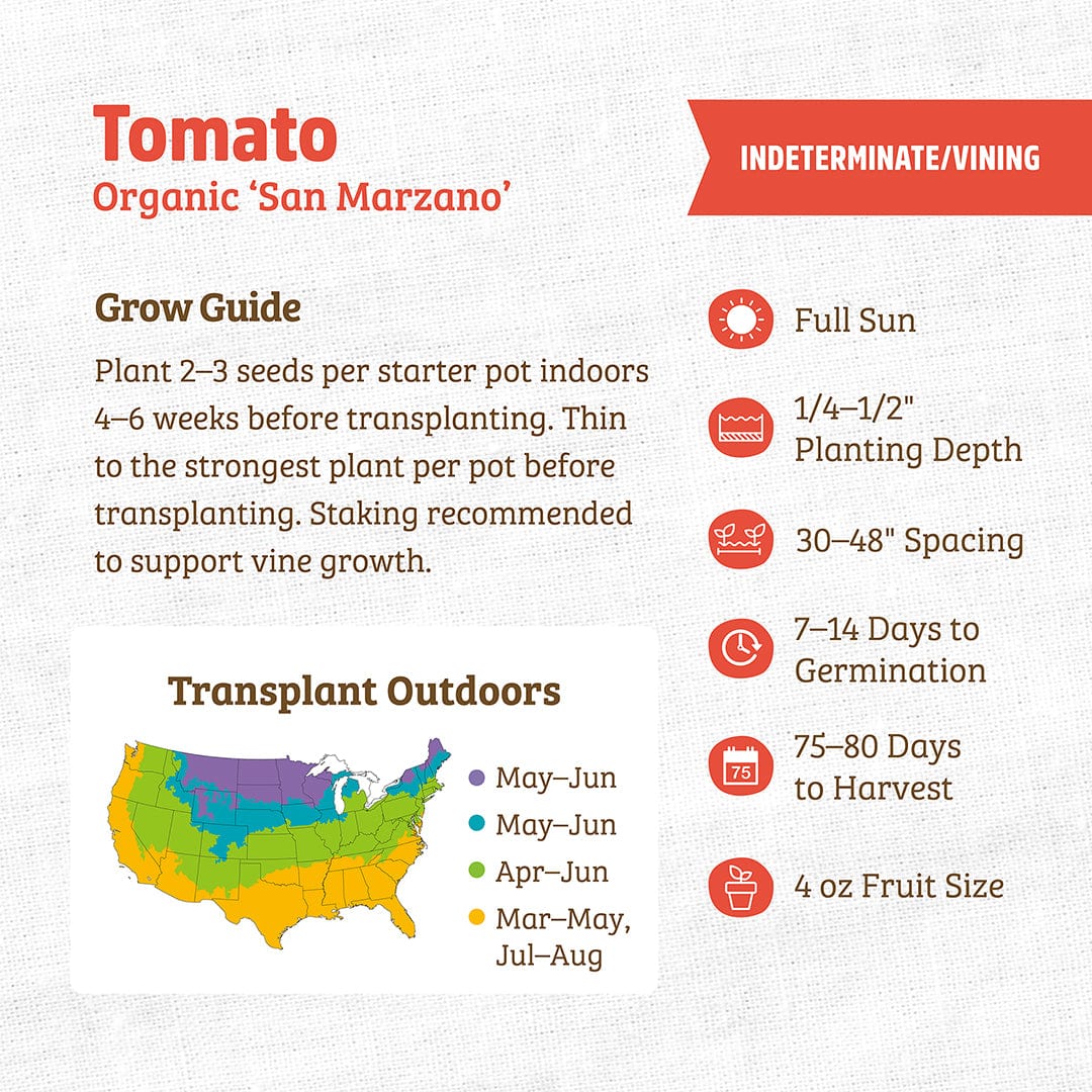 Organic Tomato Seeds — 'San Marzano'