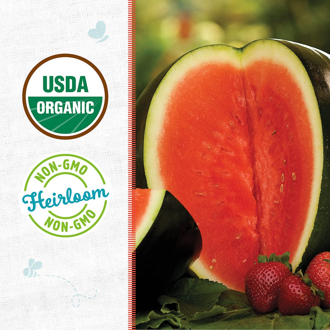 Organic Watermelon Seeds — 'Sugar Baby'