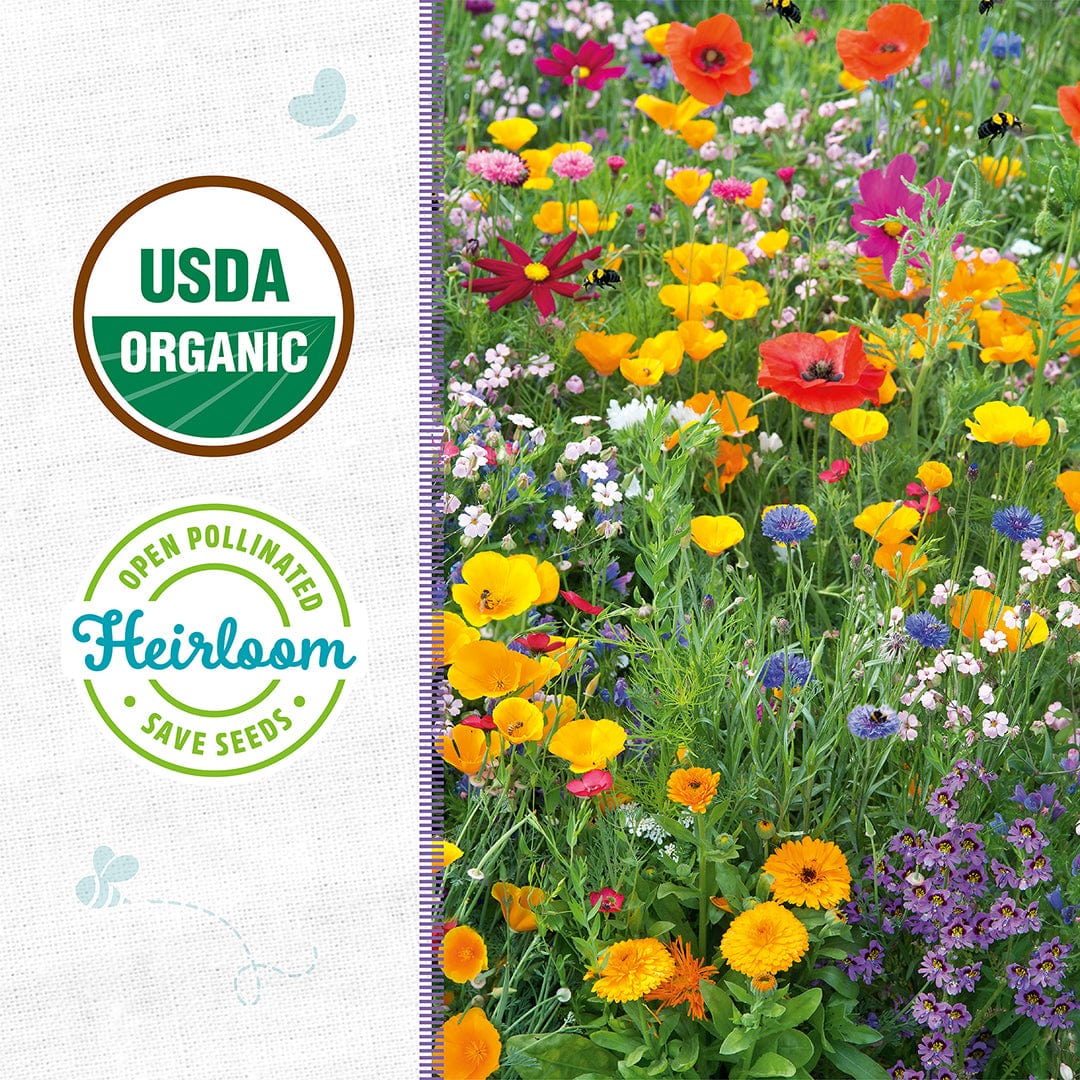 Organic Wildflower Mix