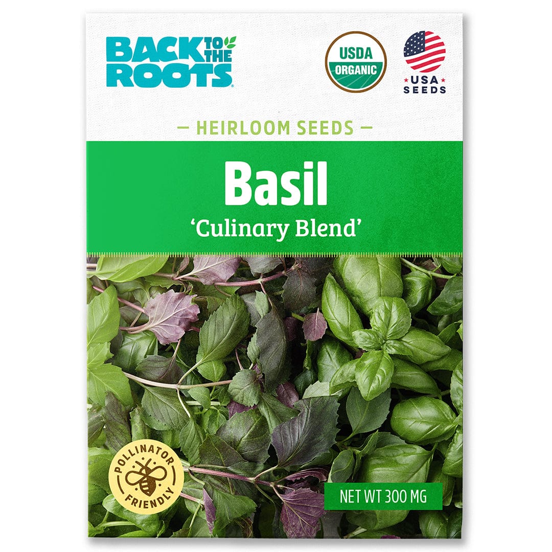 Organic Basil Seeds — 'Culinary Blend'