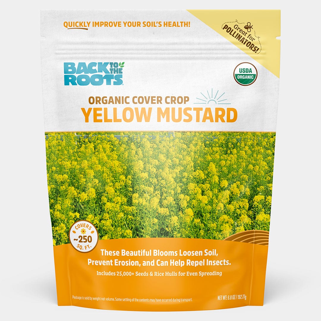 Organic Yellow Mustard Cover Crop Seeds