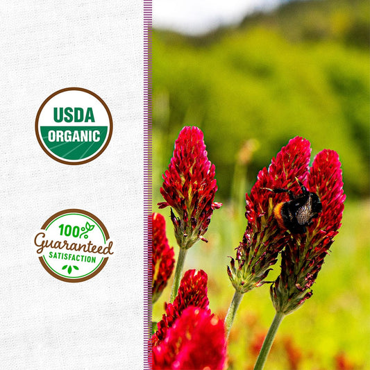 Organic Crimson Clover Cover Crop Seeds