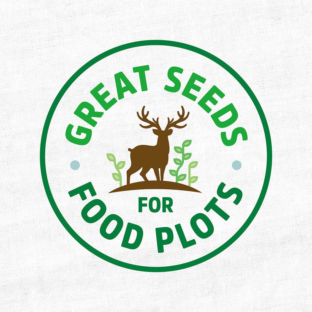 Organic Crimson Clover Cover Crop Seeds