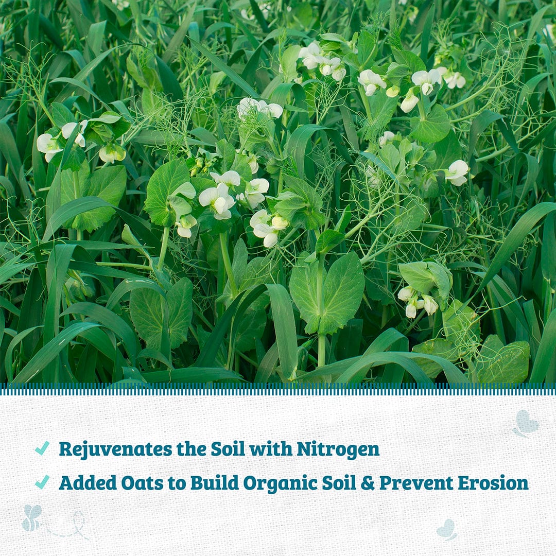 Organic Field Pea (with Oats) Cover Crop Seeds