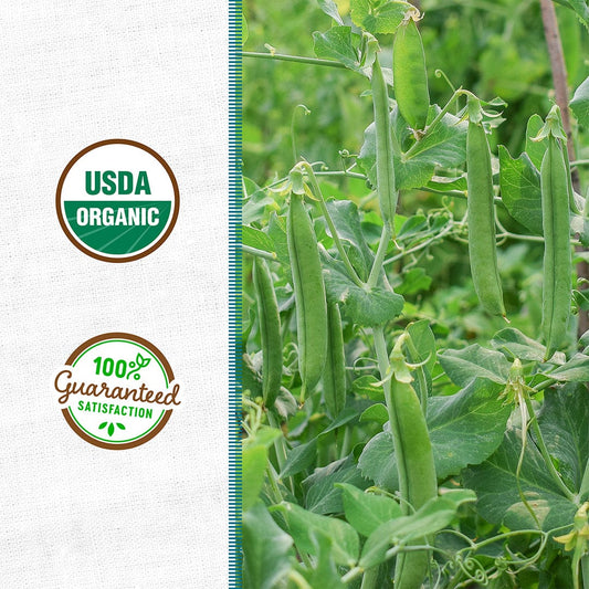 Organic Field Pea (with Oats) Cover Crop Seeds