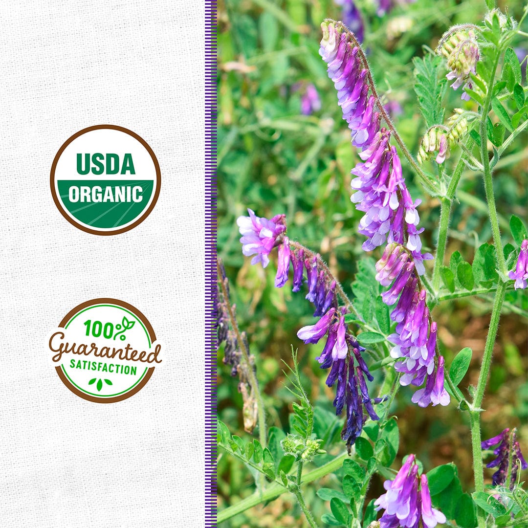 Organic Hairy Vetch Cover Crop Seeds