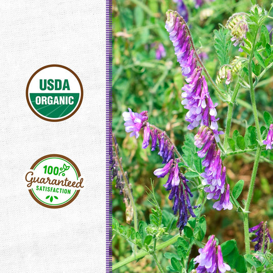 Organic Hairy Vetch Cover Crop Seeds