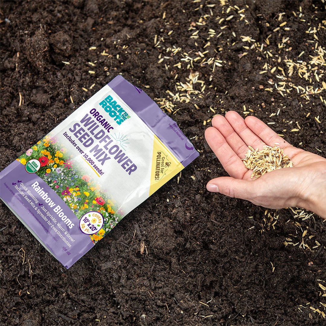 Organic Wildflower Mix