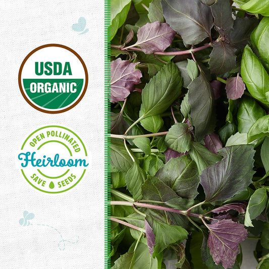Organic Basil Seeds — 'Culinary Blend'