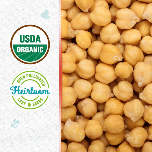 Organic Bean Seeds — 'Garbanzo'