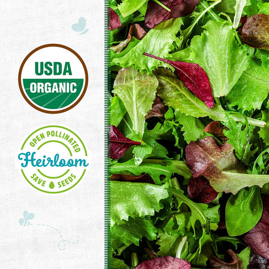 Organic Mesclun Seeds — 'Gourmet Salad Mix'