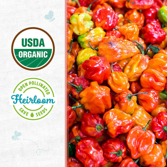 Organic Pepper Seeds — 'Habanero'