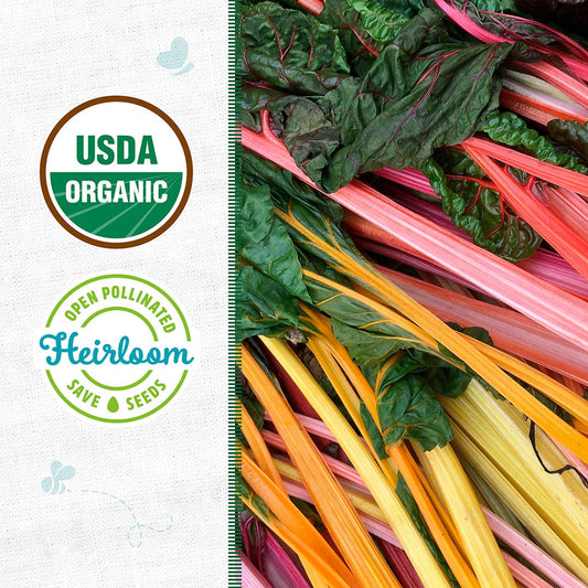 Organic Swiss Chard Seeds — 'Rainbow Mix'