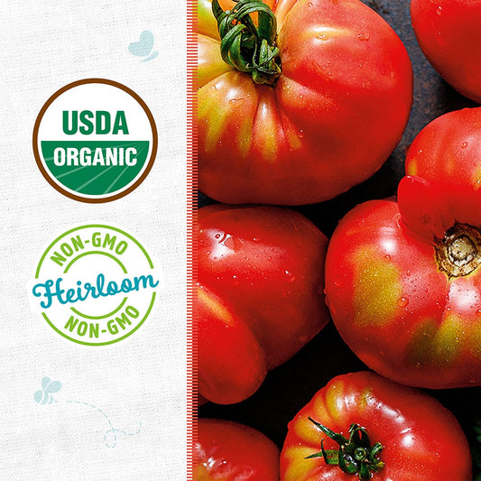 Organic Tomato Seeds — 'Brandywine Pink'