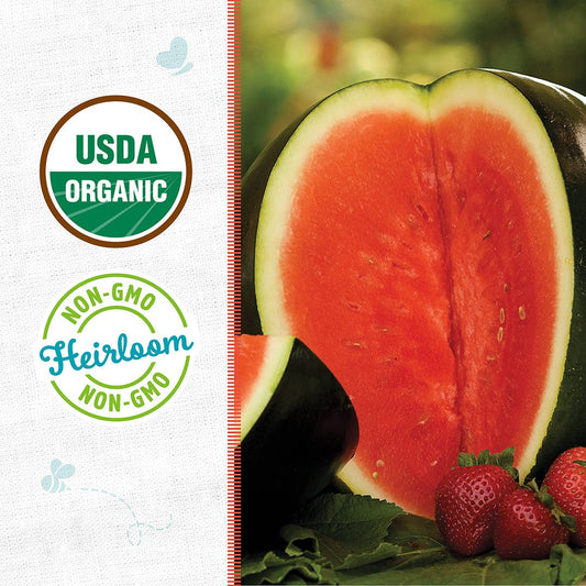 Organic Watermelon Seeds — 'Sugar Baby'