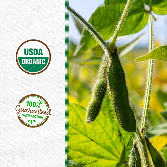 Organic Soybean Cover Crop Seeds