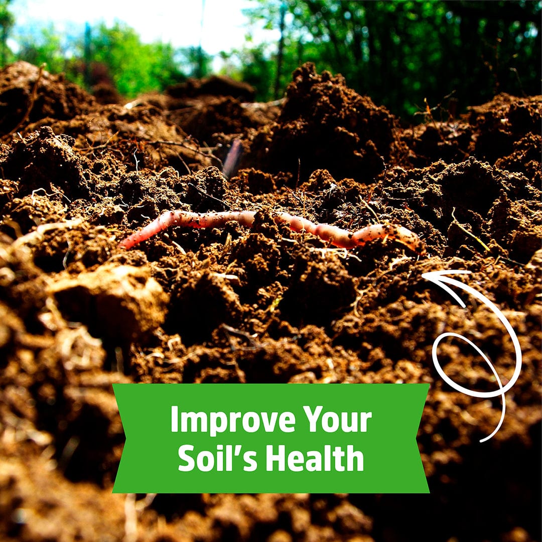 Organic Soybean Cover Crop Seeds