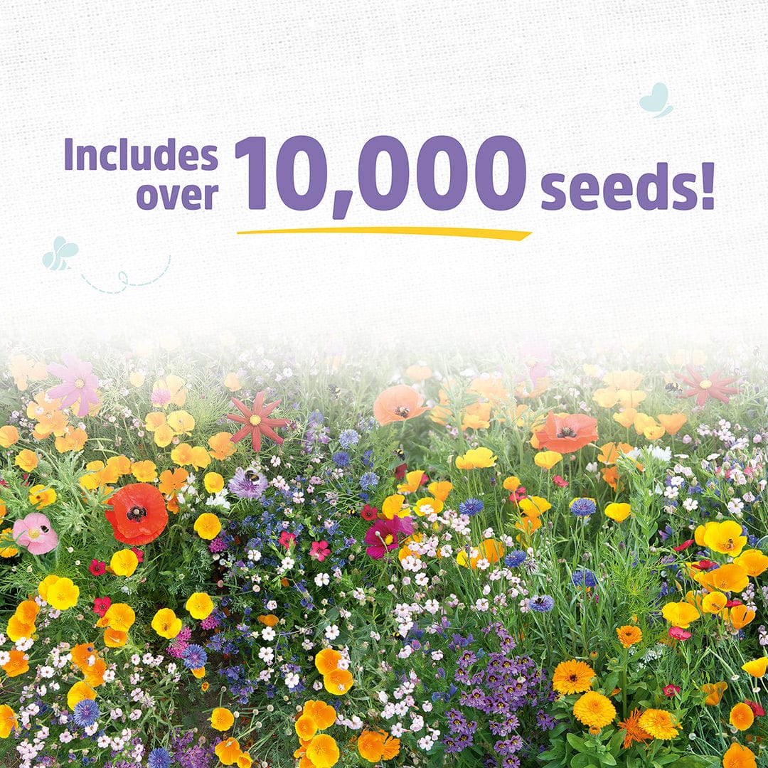 Organic Wildflower Mix