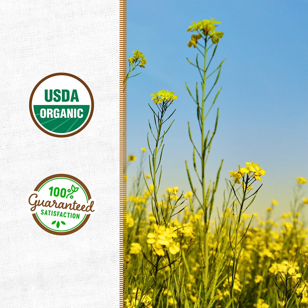 Organic Yellow Mustard Cover Crop Seeds