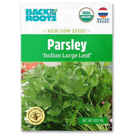 Organic Parsley Seeds — 'Italian Large Leaf'