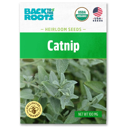 Organic Mint Seeds — 'Catnip'