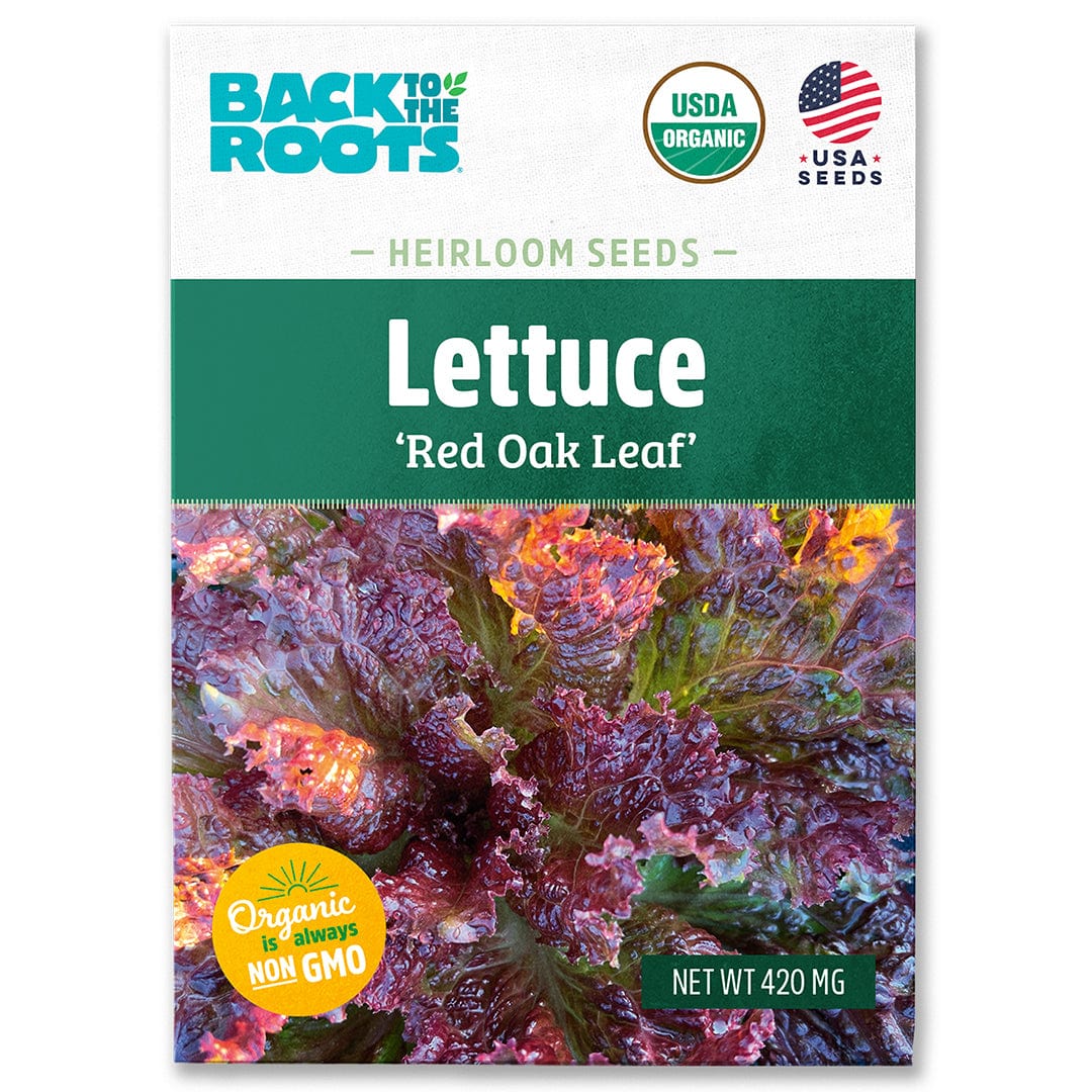 Organic Lettuce Seeds — 'Red Oak Leaf'