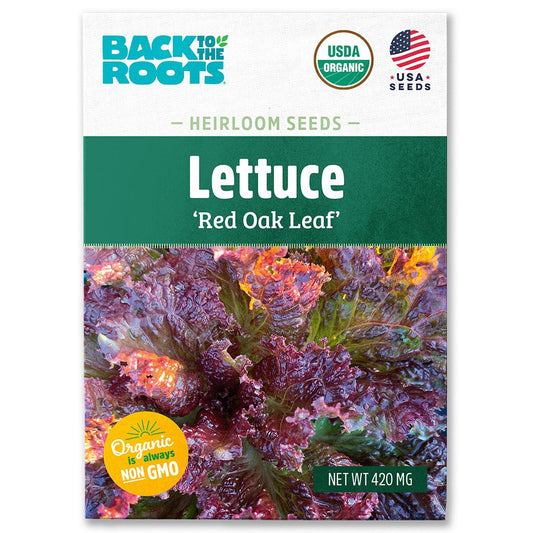Organic Lettuce Seeds — 'Red Oak Leaf'