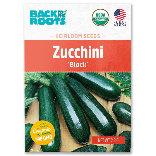 Organic Zucchini Seeds — 'Black'
