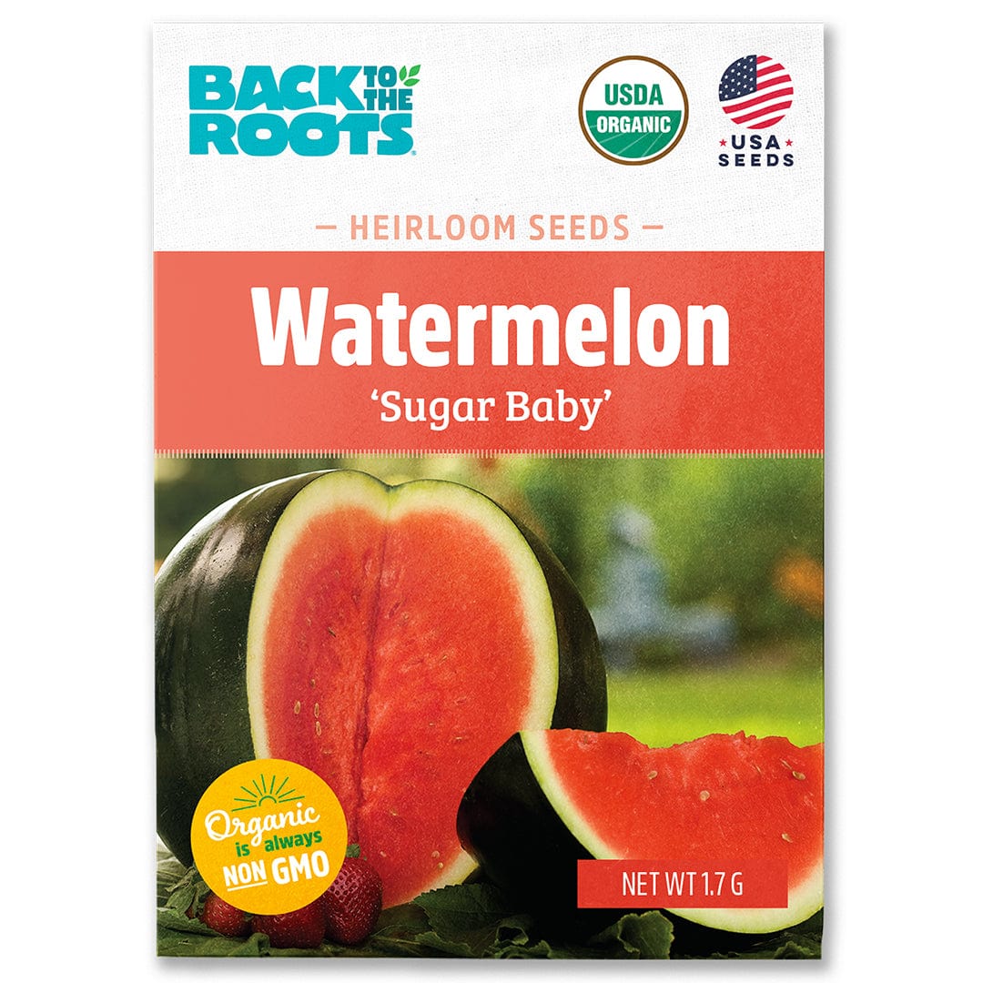 Organic Watermelon Seeds — 'Sugar Baby'
