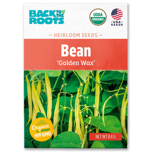 Organic Bean Seeds — 'Golden Wax'