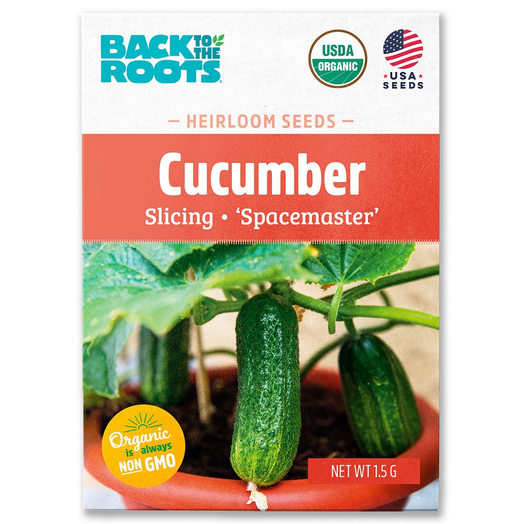 Organic Cucumber Seeds — 'Slicing • Spacemaster'