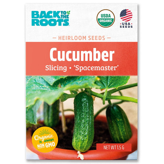 Organic Cucumber Seeds — 'Slicing • Spacemaster'