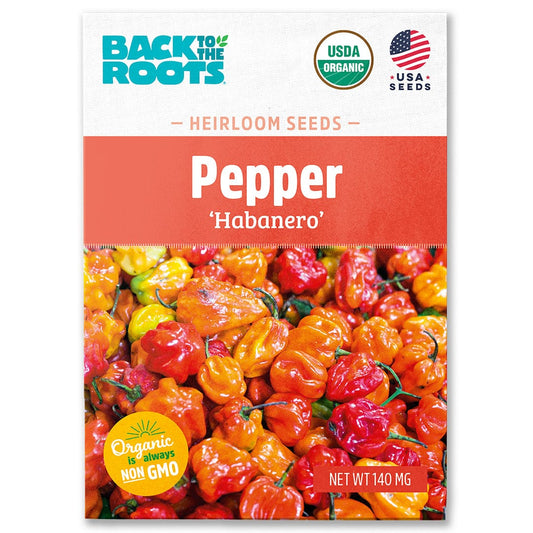 Organic Pepper Seeds — 'Habanero'