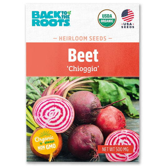 Organic Beet Seeds — 'Chioggia'