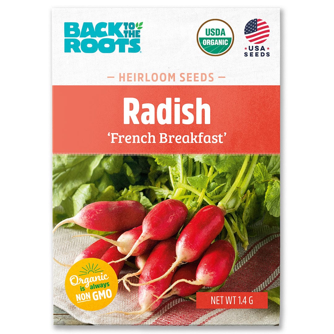 Organic Radish Seeds — 'French Breakfast'