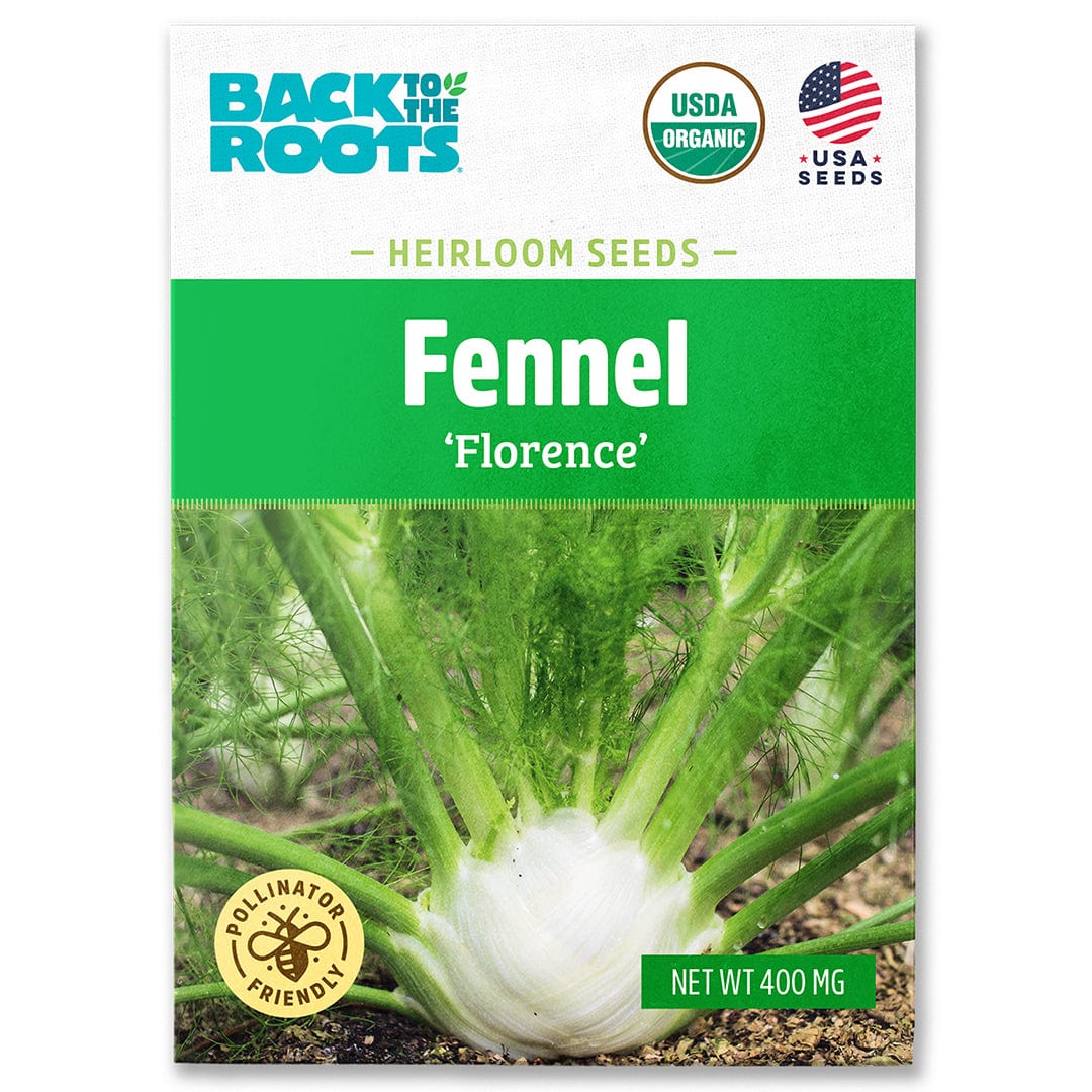 Organic Fennel Seeds — 'Florence'
