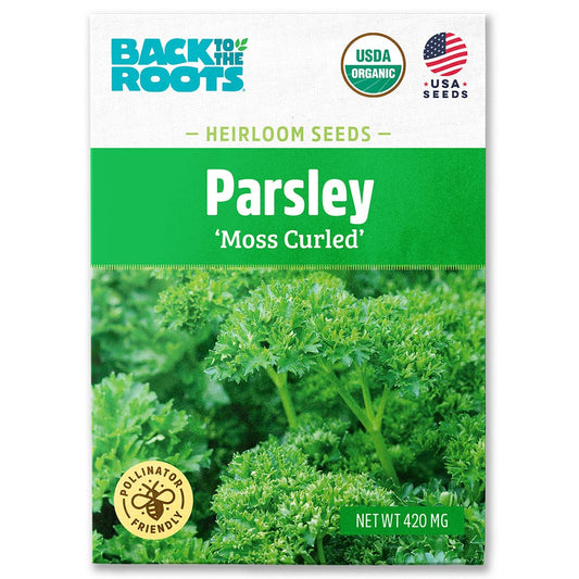 Organic Parsley Seeds — 'Moss Curled'