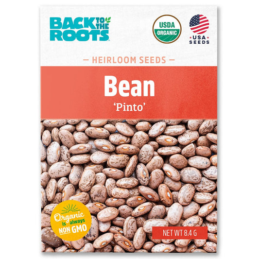 Organic Bean Seeds — 'Pinto'