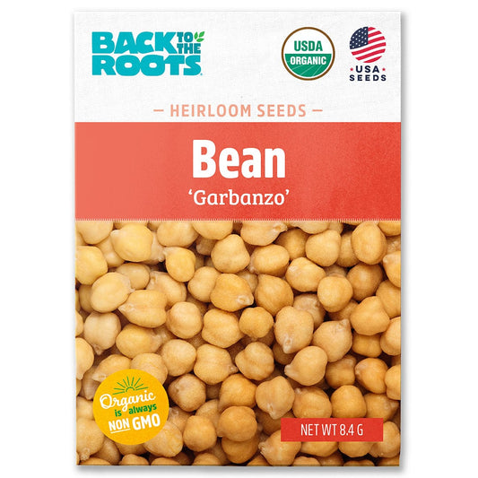 Organic Bean Seeds — 'Garbanzo'
