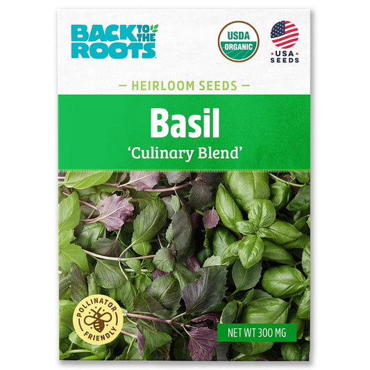 Organic Basil Seeds — 'Culinary Blend'