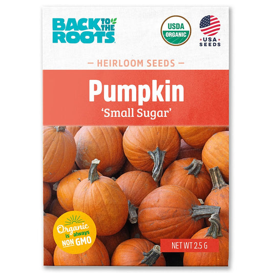 Organic Pumpkin Seeds — 'Small Sugar'
