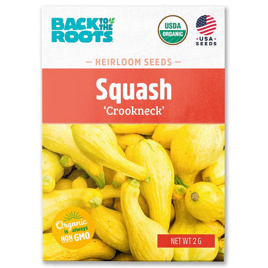 Organic Squash Seeds — 'Crookneck'