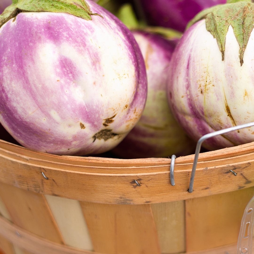 Organic Eggplant Seeds — 'Rosa Bianca'